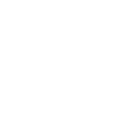 X Icon